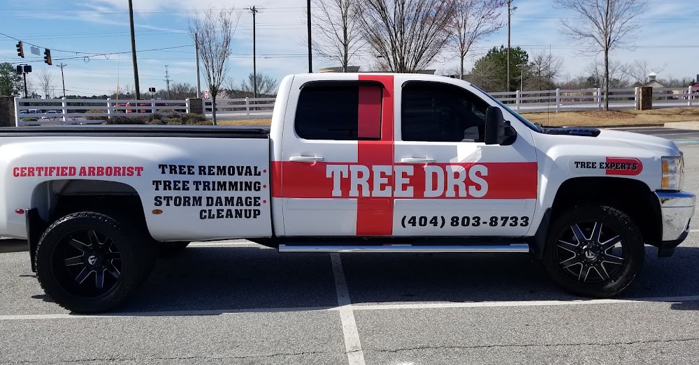 Disaster Dr LLC