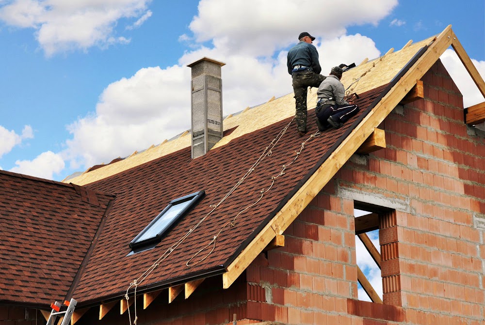 Vicente Roofing & Painting