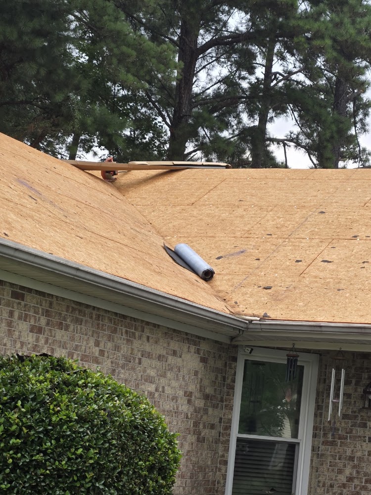 Dinosaur Roofing & Repair