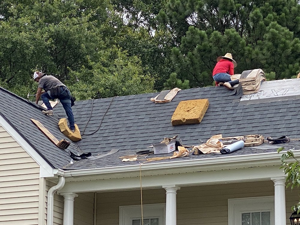 Black Dog Roofing