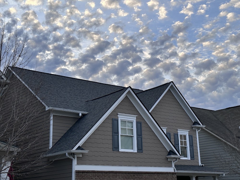 Hive Roofing