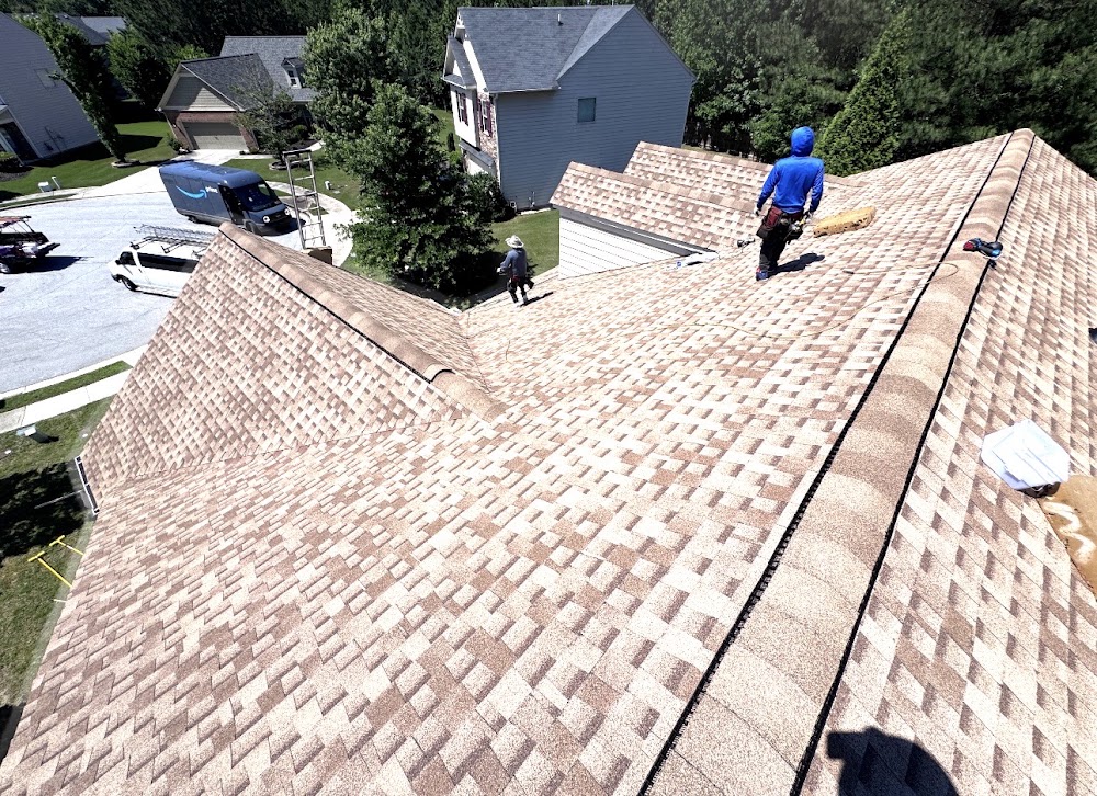 Lioness Roofing, LLC