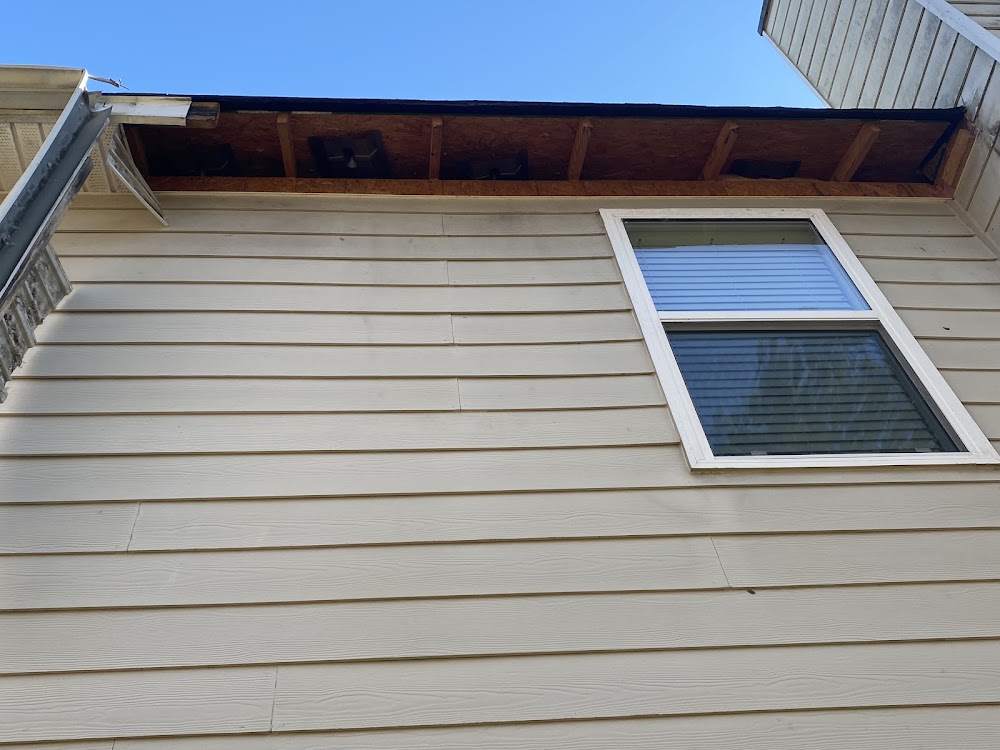 JR Professional Gutter Cleaning & Roofing Repair